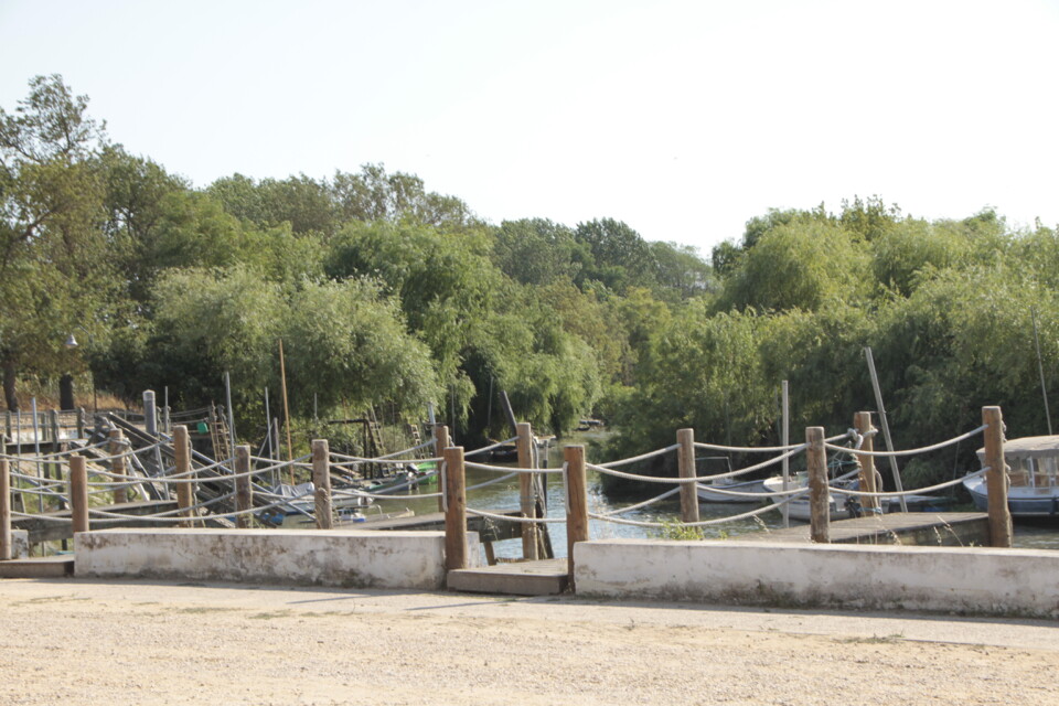 _MG_7309.JPG