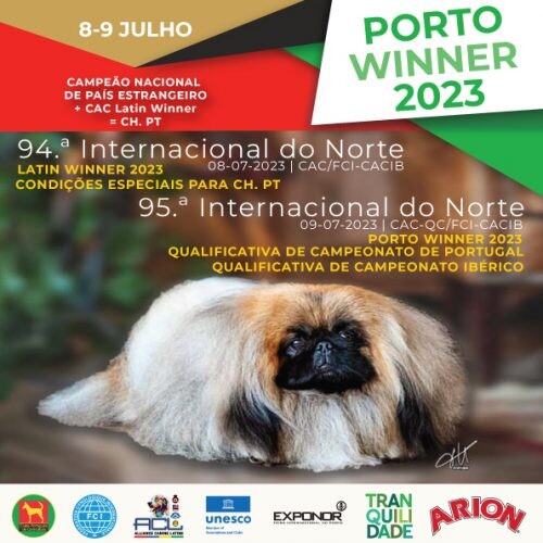 porto-winner-2023-500x500.jpg