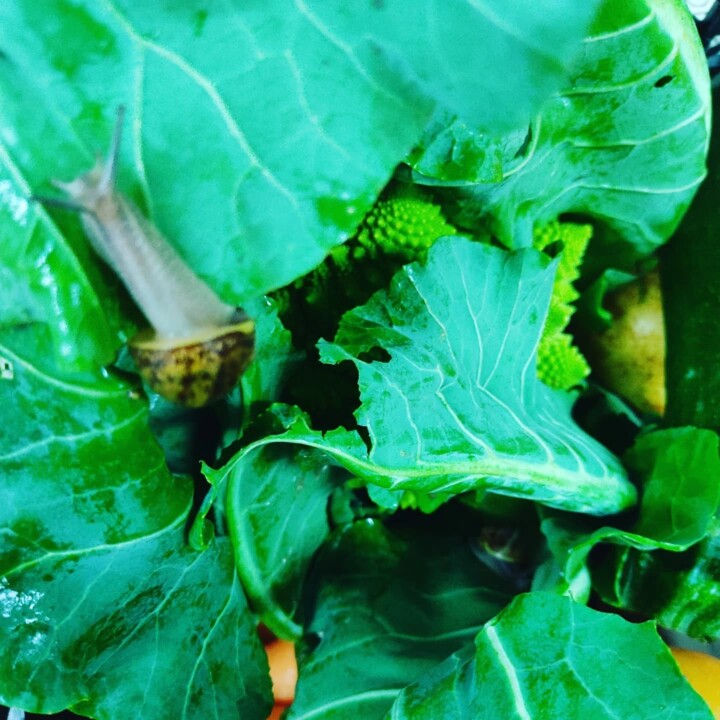 475546138_18459139912066958_4044408374987404561_n.