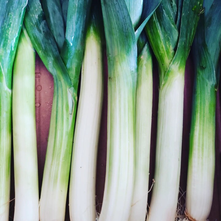 327891395_718748253104781_5493219973059230247_n.jp