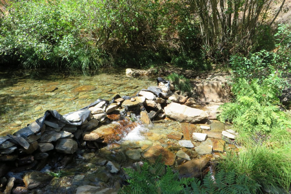 IMG_3475.JPG IMG_3475.JPG