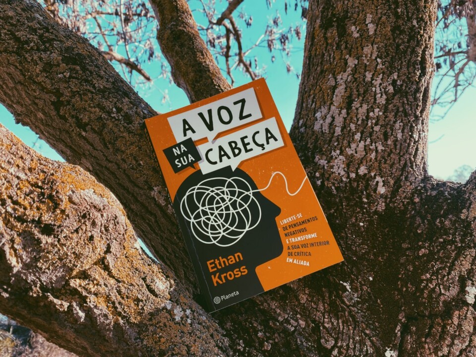 a voz na sua cabeça.jpg