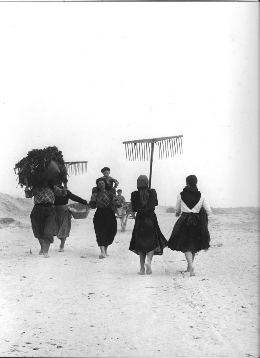 133296075_1059153557934923_8335677181949391399_o.j