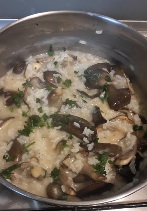 20180224_202118.jpg 20180224_202118.jpg