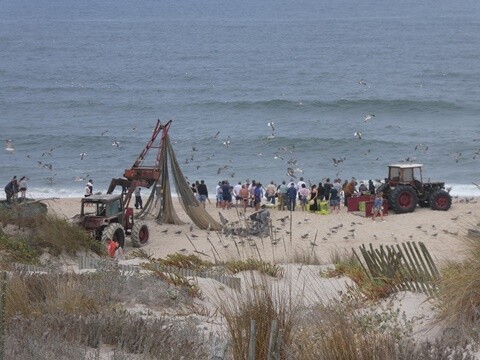 17a_Manhã_Praia_de_Mira (33).JPG