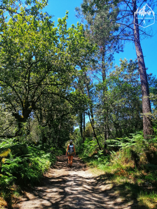 Photo_1598340991627.jpg Photo_1598340991627.jpg