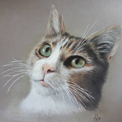 36240658_1520265758085372_7297990446335131648_n.jp