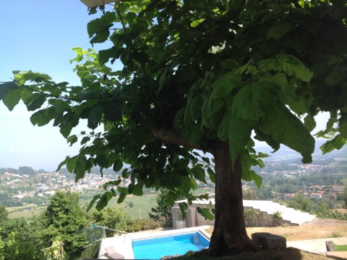 006F52EE-10F3-4102-8EDE-9152AC6B81A0-596-000000B71