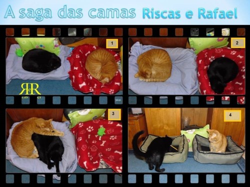 sagacamas.jpg sagacamas.jpg