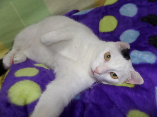 SAM_1516.JPG SAM_1516.JPG