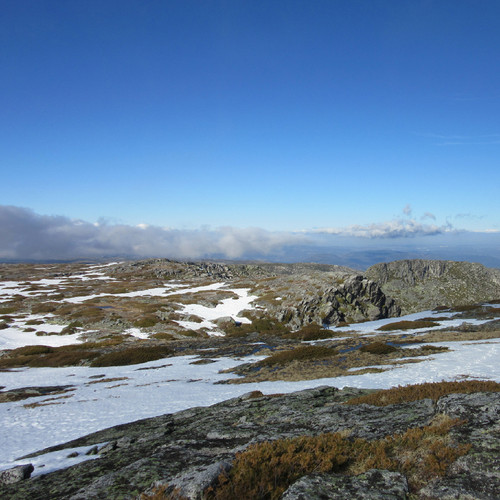 IMG_0607.JPG IMG_0607.JPG