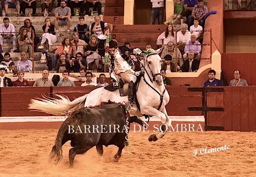 BARREIRA DE SOMBRA22-63-DSC_5568.JPG