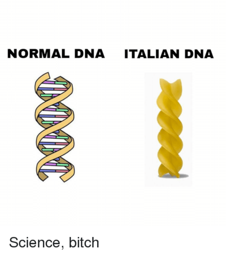 our food groups consist of carbs.png