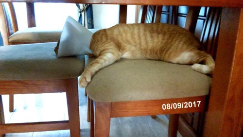 doidoigato.jpg doidoigato.jpg