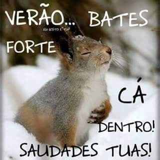 16113994_1335849736476355_1454284083473170773_n.jp