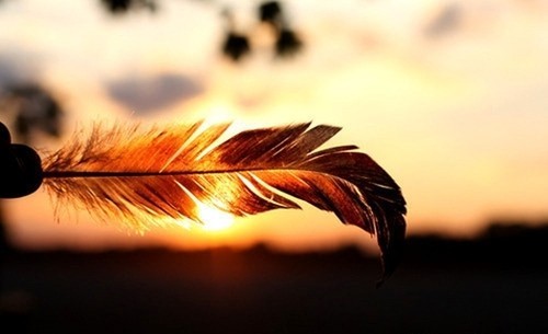 original.jpg original.jpg