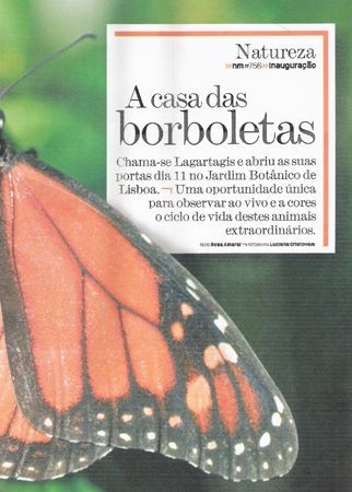 borboletario3.jpg