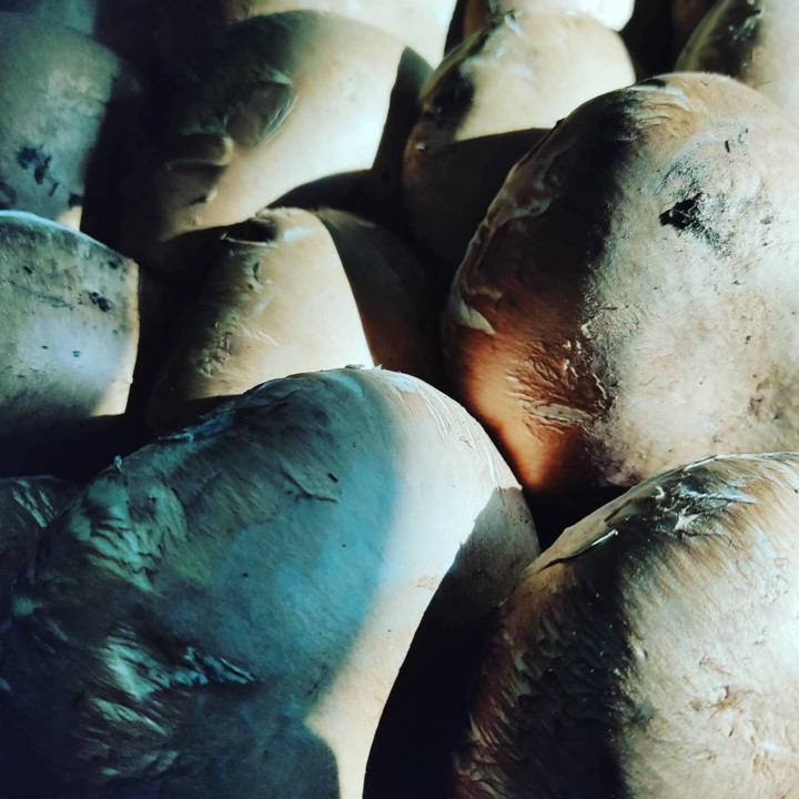 132705989_1906733409466411_569449725177625376_o.jp