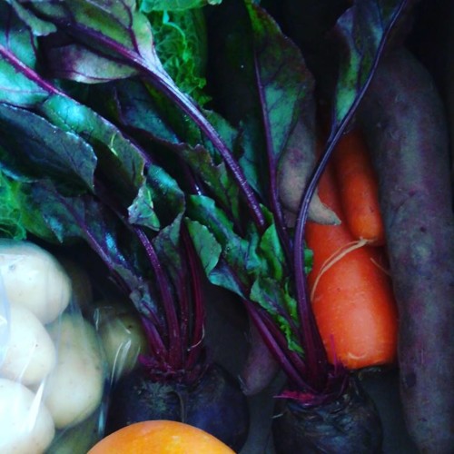 50338245_1292821417524283_6115112798969135104_n.jp