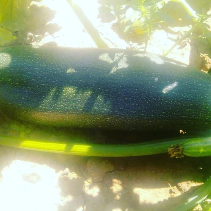 293465150_2360617154078032_5895334619131863671_n.j