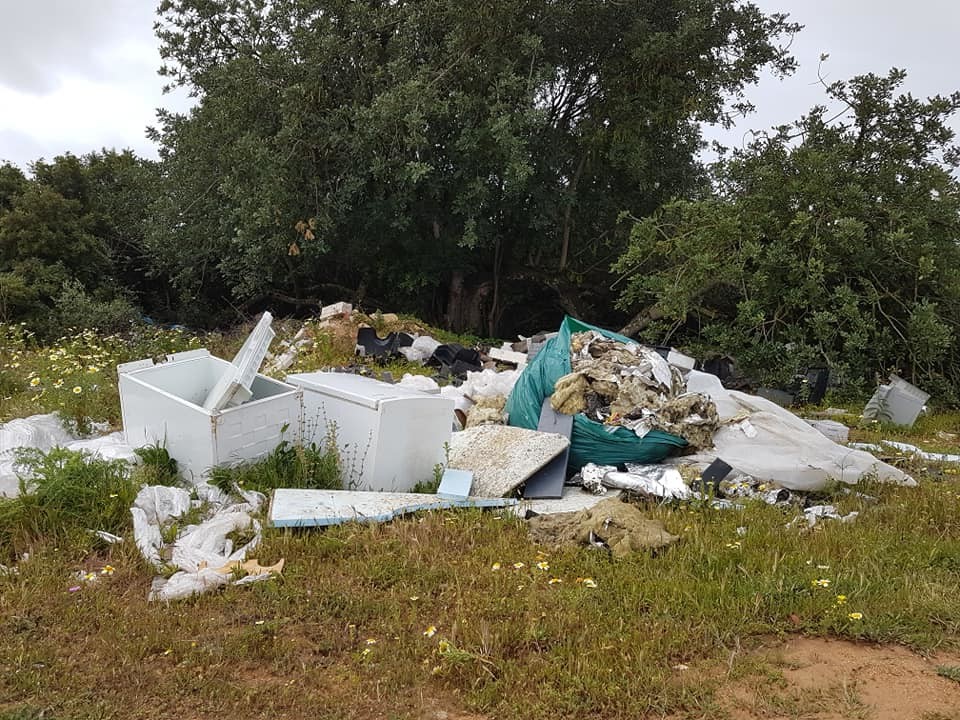 56848157_10217021254997151_264968936355790848_n.jp