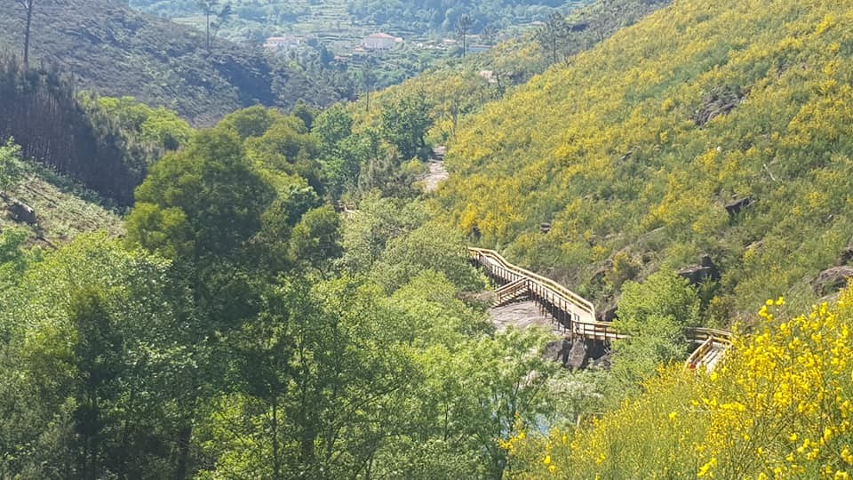 174484281_4332885860055395_4866217882666831786_n.j