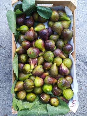 353679874_3551624975159676_5321445008824017708_n.j