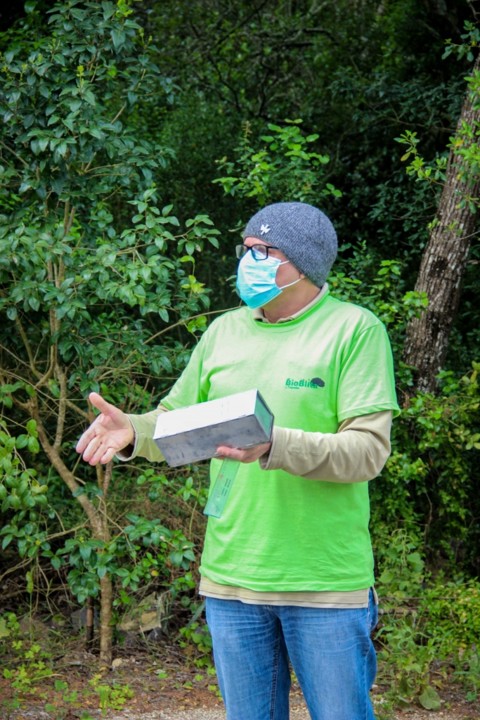 bioblitz tapada 3 Pedro Vaz.jpg bioblitz tapada 3 Pedro Vaz.jpg