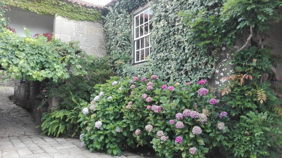 IMG_20170722_124215.jpg IMG_20170722_124215.jpg