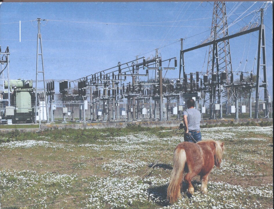 Paisagens Trangénicas - Cópia.jpg