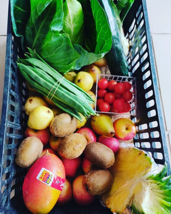 337281495_729042175374418_7447157116806750359_n.jp