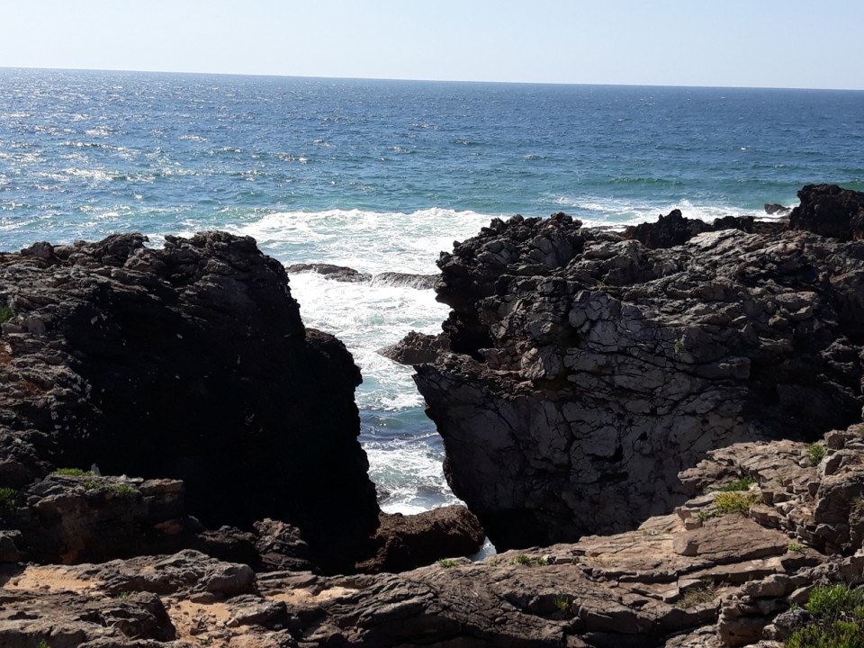 20200516_163056.jpg 20200516_163056.jpg