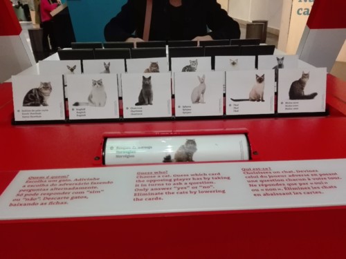 IMG_20190120_132347 (1).jpg IMG_20190120_132347 (1).jpg