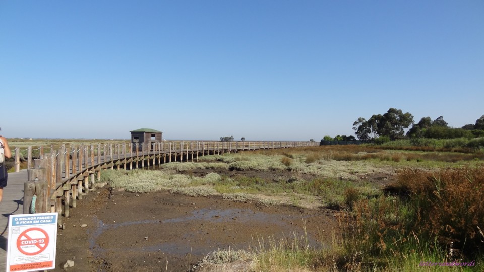 DSC07918.JPG DSC07918.JPG