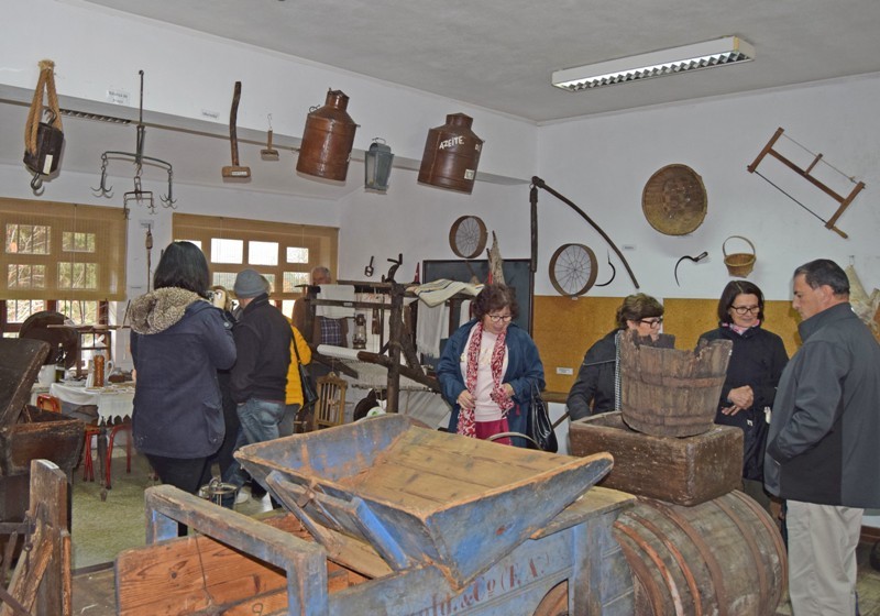 univseniormonç (3).JPG