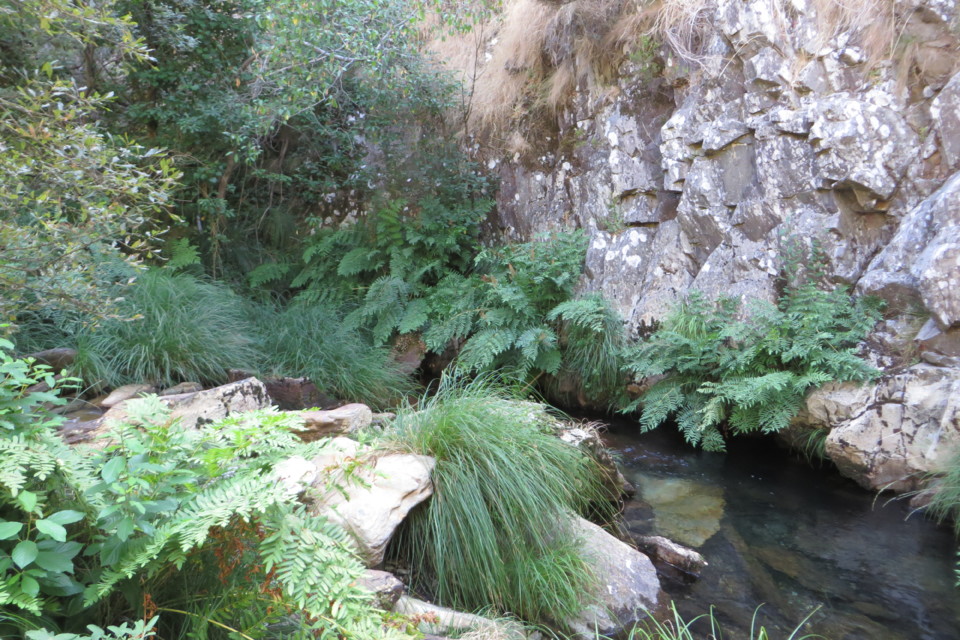 IMG_3554.JPG IMG_3554.JPG