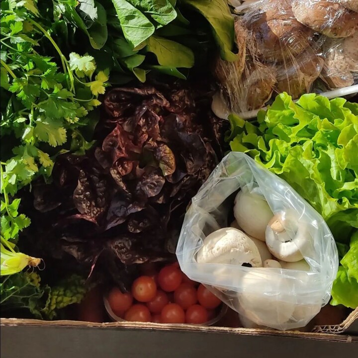 318224725_2487762731363473_1747968046451931198_n.j