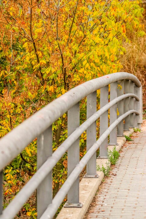 jardim rio da costa 9.jpg