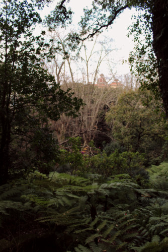 IMG_5564.jpg IMG_5564.jpg