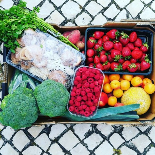 34722857_1109842902488803_6682242146411479040_n.jp