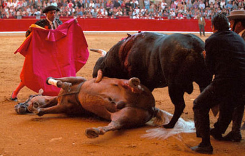 TORTURA DE CAVALO E TOURO.jpg