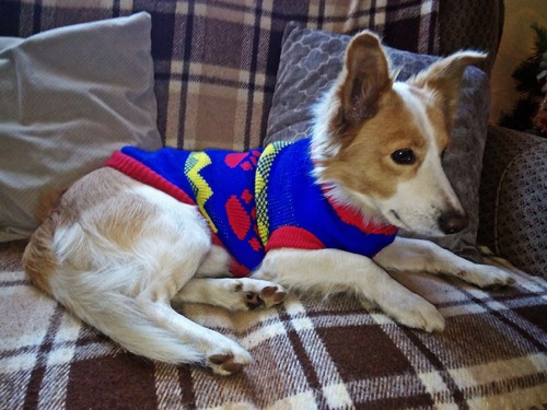 IMG_20161224_111133.jpg IMG_20161224_111133.jpg