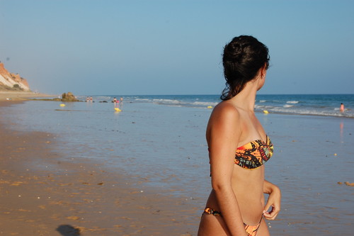 DSC_0206.JPG DSC_0206.JPG