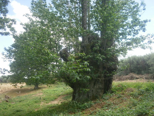 P6135521.JPG P6135521.JPG