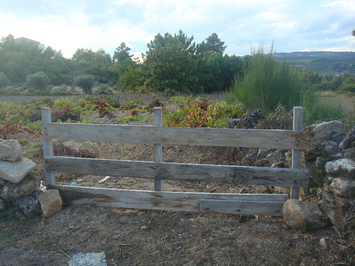 Vilarandelo