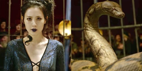 fantasticbeasts-nagini-claudia-kim-nagini-.jpg