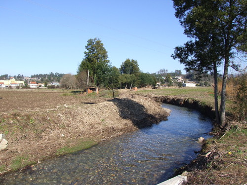 Valongo do Vouga limpeza rio.JPG