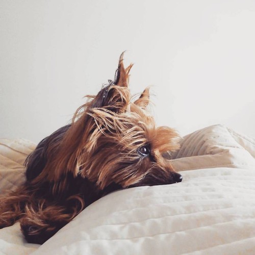 12278949_10207321423646273_7479987137699525854_n.j 12278949_10207321423646273_7479987137699525854_n.j