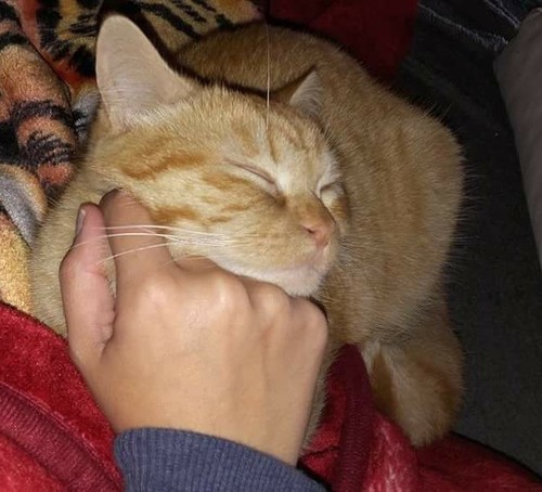 IMG_20160427_192906.JPG IMG_20160427_192906.JPG