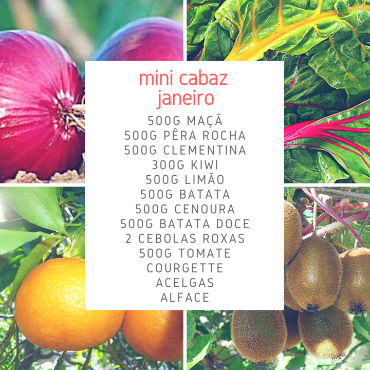 MiniCabazJan.png MiniCabazJan.png